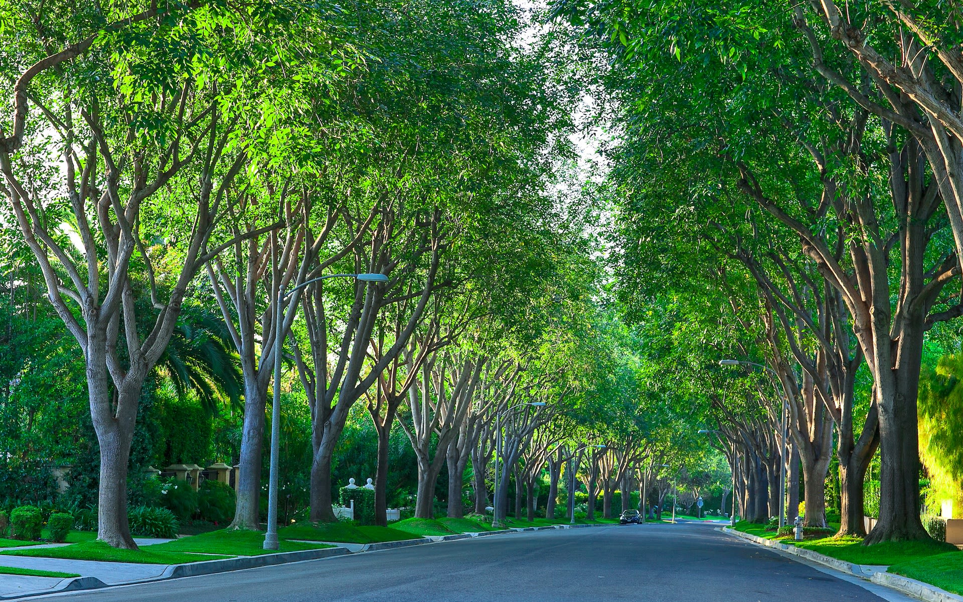 Holmby Hills