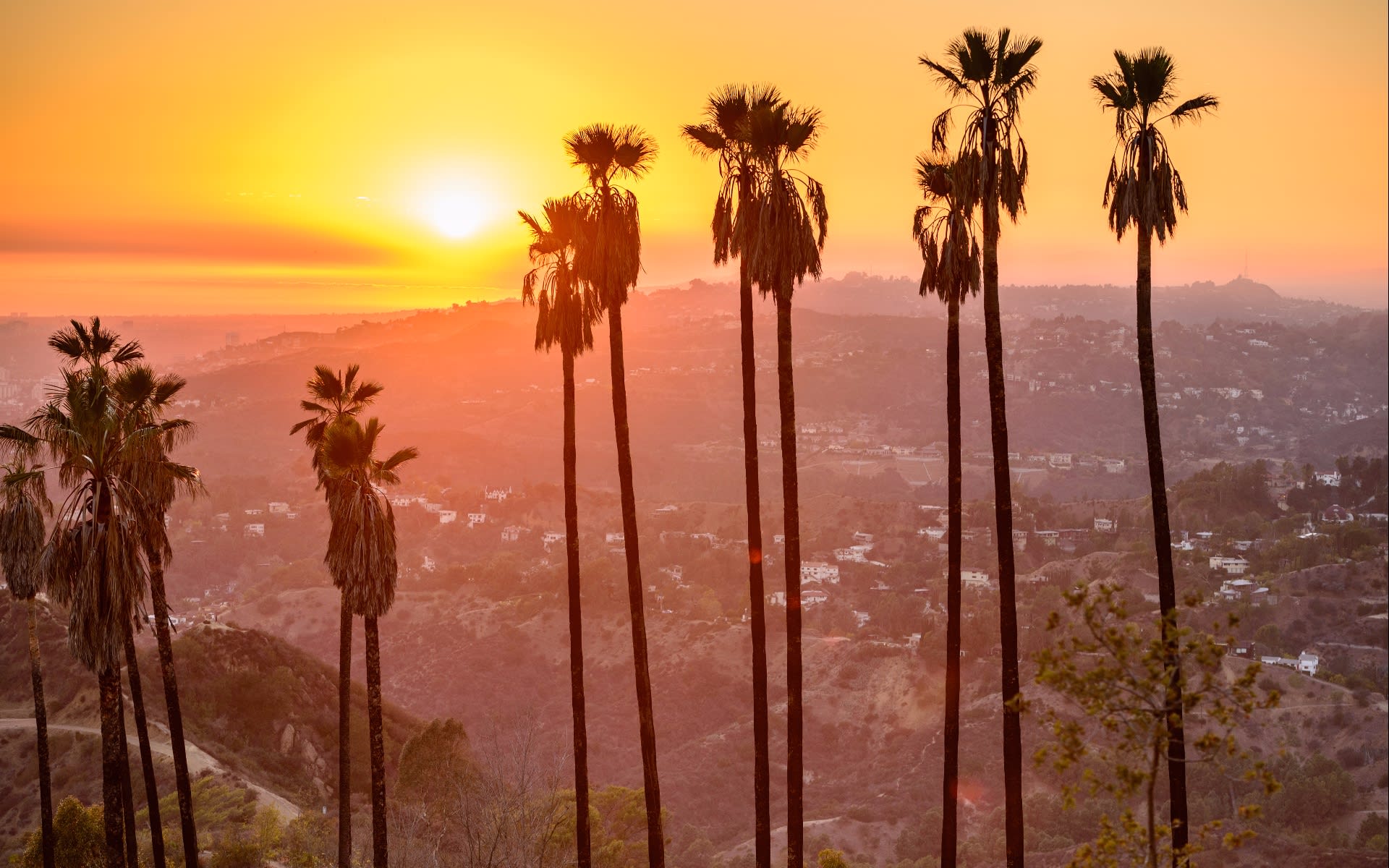 Explore Sunset Strip Real Estate Valerie Fitzgerald Group