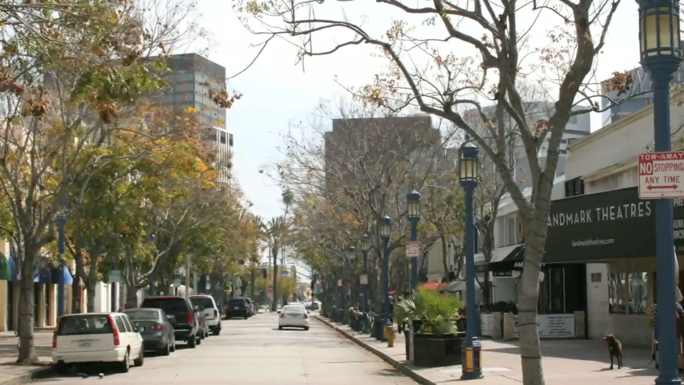  Valerie Fitzgerald Tours Westwood and Century City