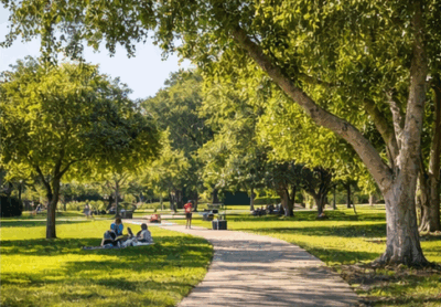 Roxbury Park Beverly Hills neighborhood with green park areas and residential streets